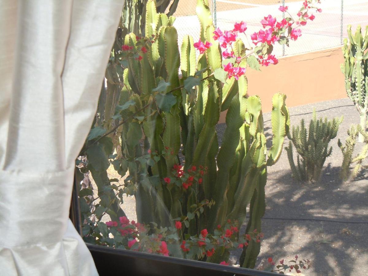 Family Apartment 1 Bedroom With Pool View - Oasis Duna Resort 코라레호 외부 사진